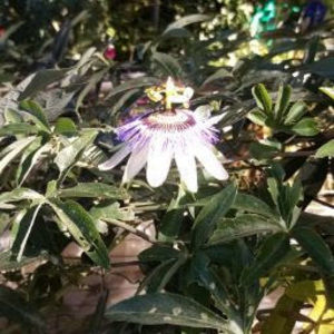 Meet your Posher, Emely